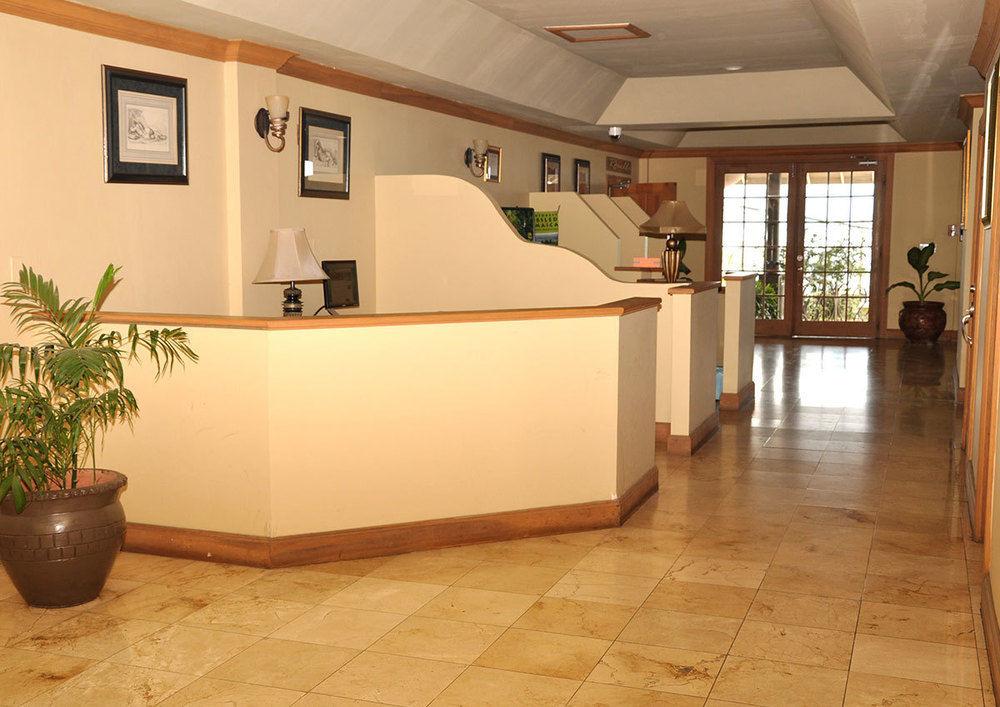 The Wexford Hotel Montego Bay Esterno foto