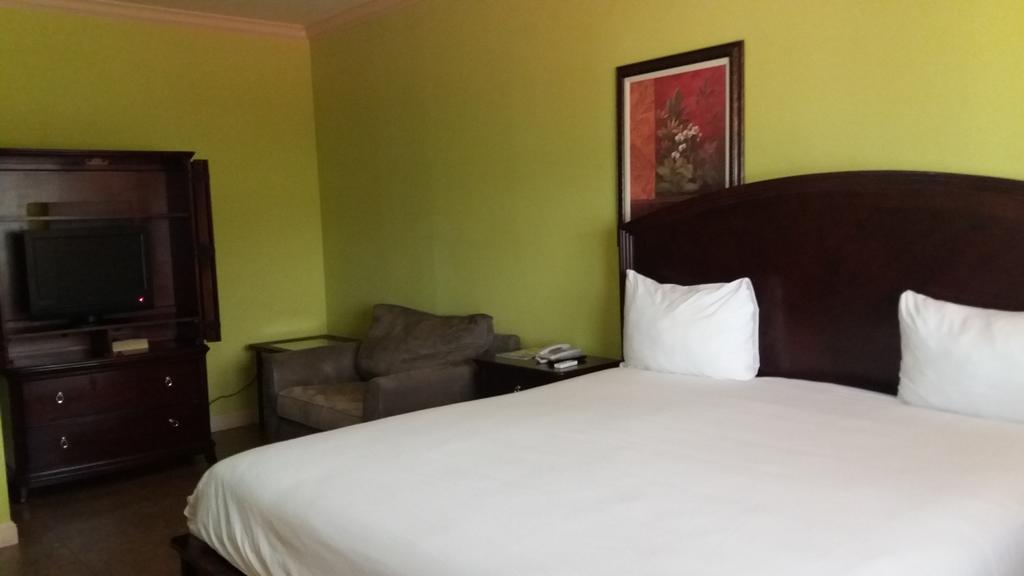 The Wexford Hotel Montego Bay Esterno foto