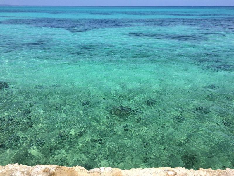 The Wexford Hotel Montego Bay Esterno foto